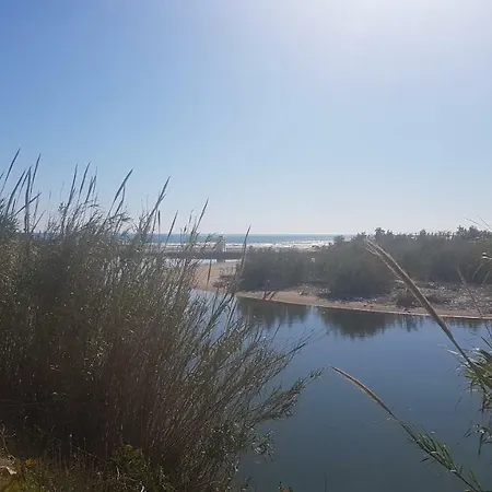 Popa 5/6 * Playa de Gandia