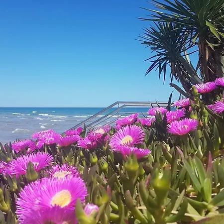 Popa 5/6 * Playa de Gandia